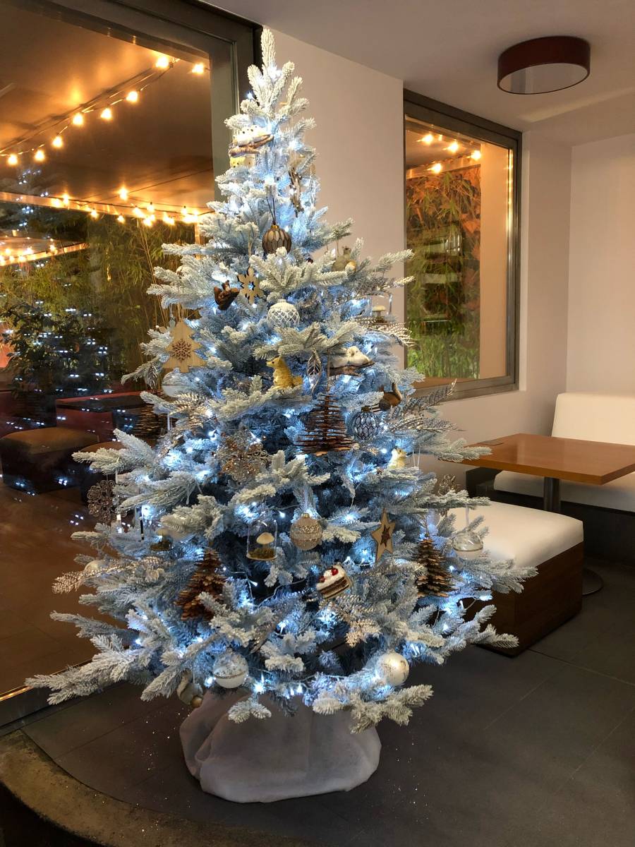 Menu de Noël 2025 sur réservation et acompte 50%